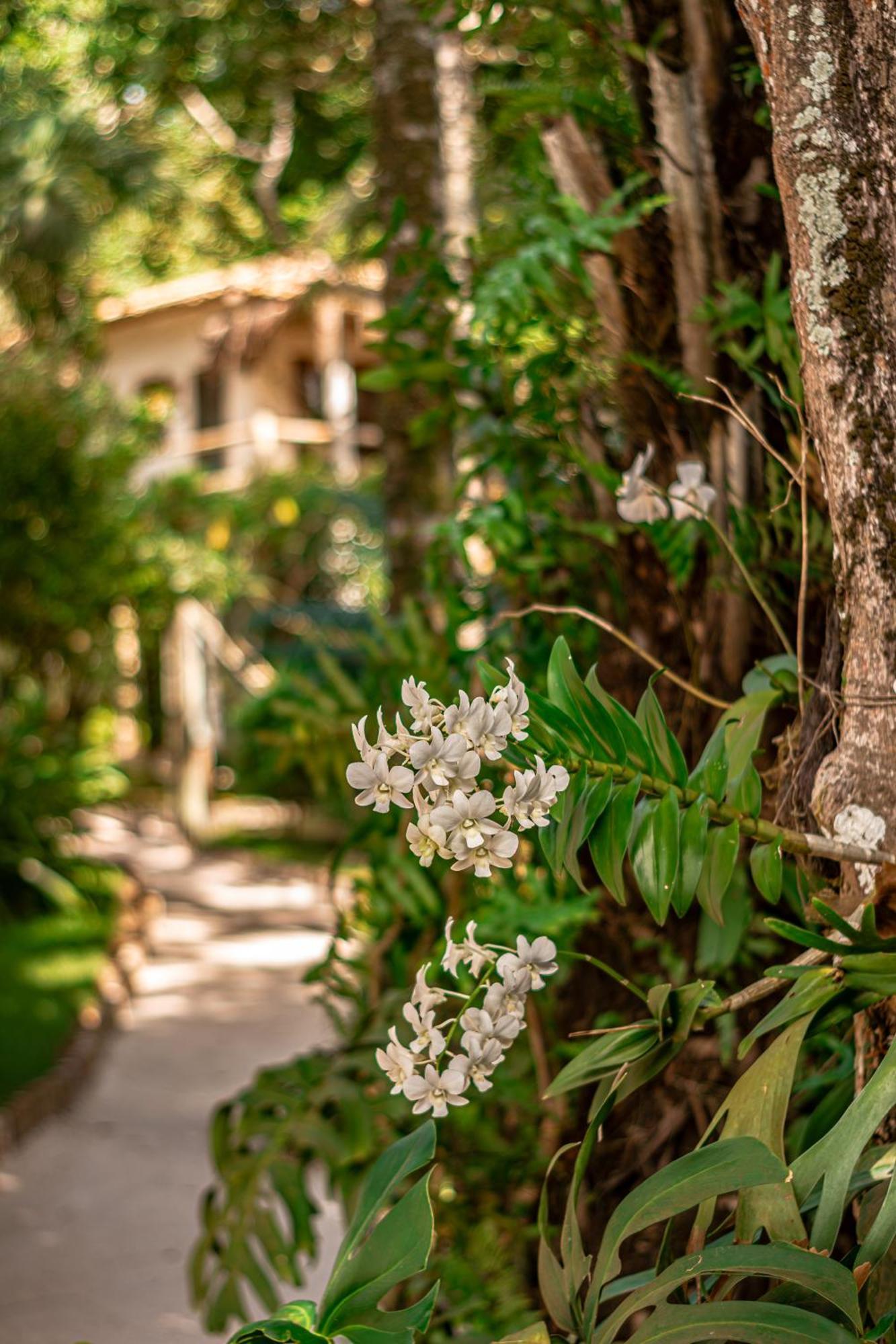 Hotel Boutique Bahia Bonita 트란코주 외부 사진